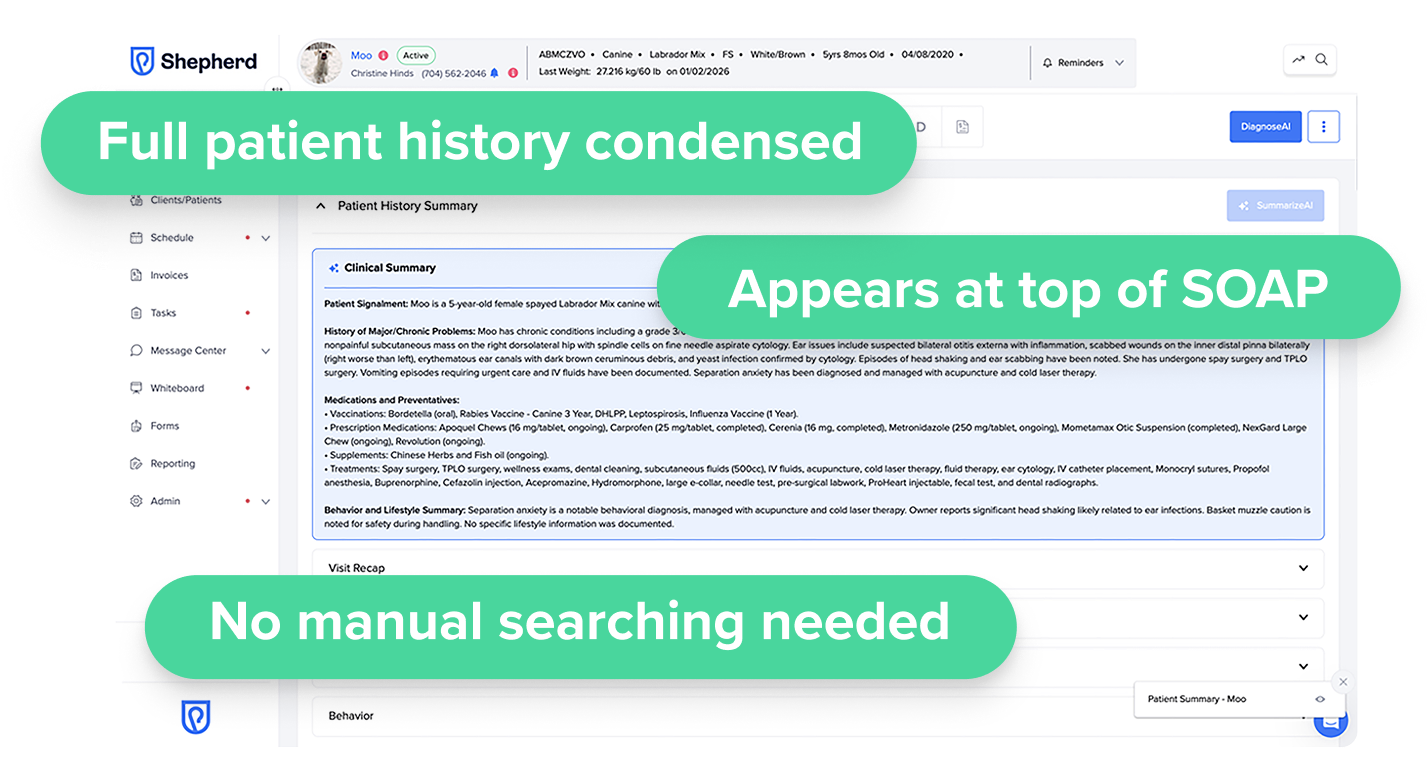SummarizeAI software screenshot
