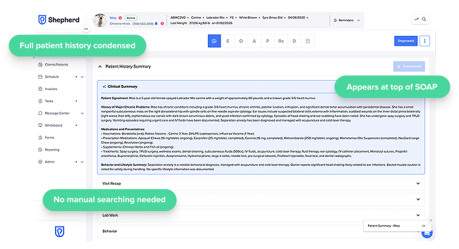 SummarizeAI software screenshot