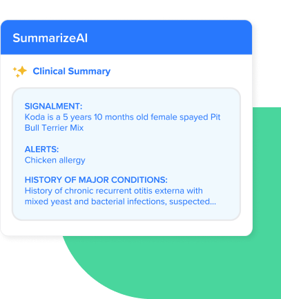 SummarizeAI software screenshot
