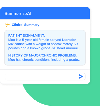 SummarizeAI software screenshot