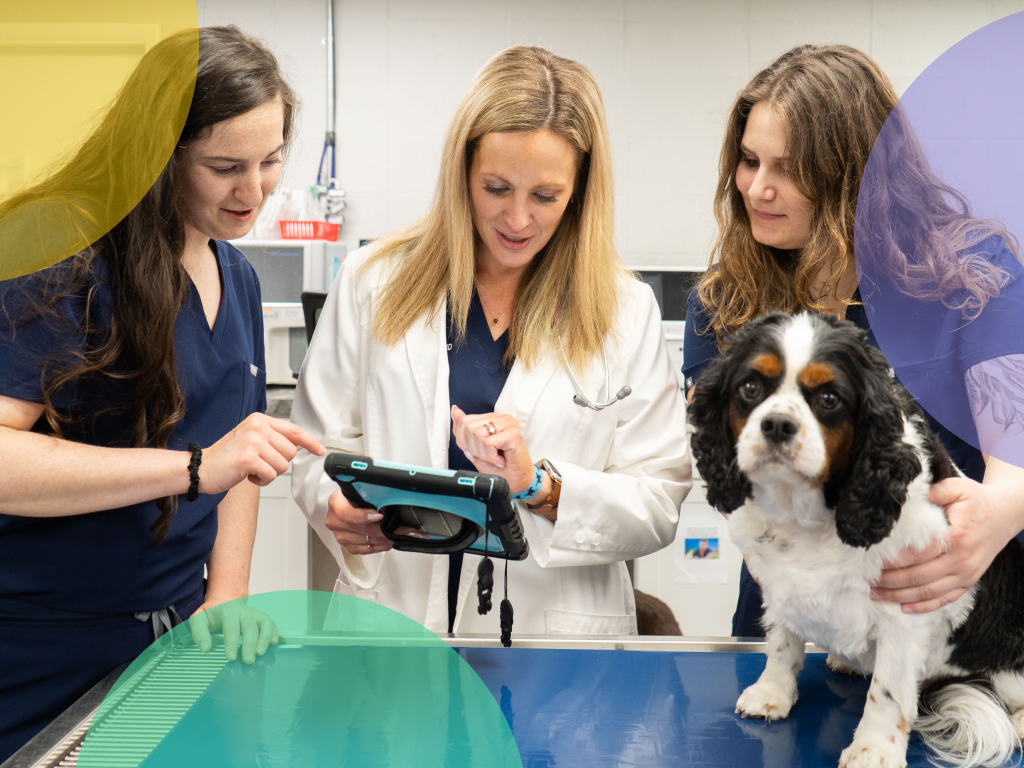 Redefining Success in Veterinary Practice Management: The Intersection of Care, Culture, and Profitability