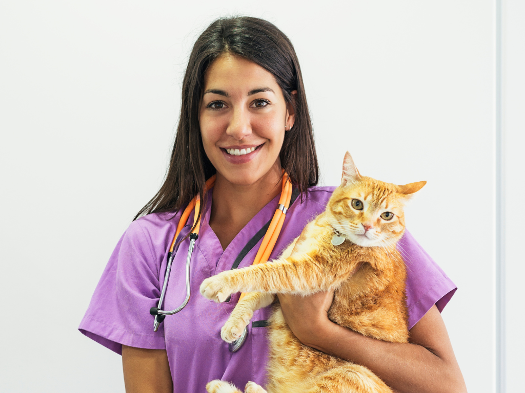 Must-Have Veterinary Employee Benefits in 2024