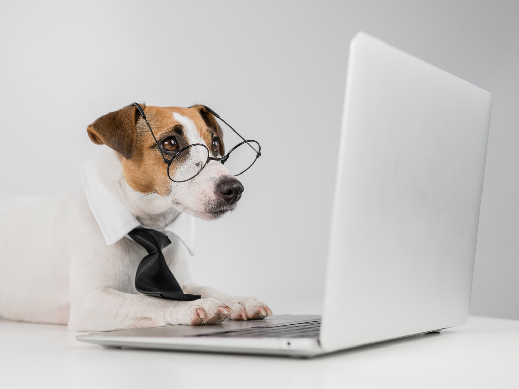 Ring in the New Year with Shepherd