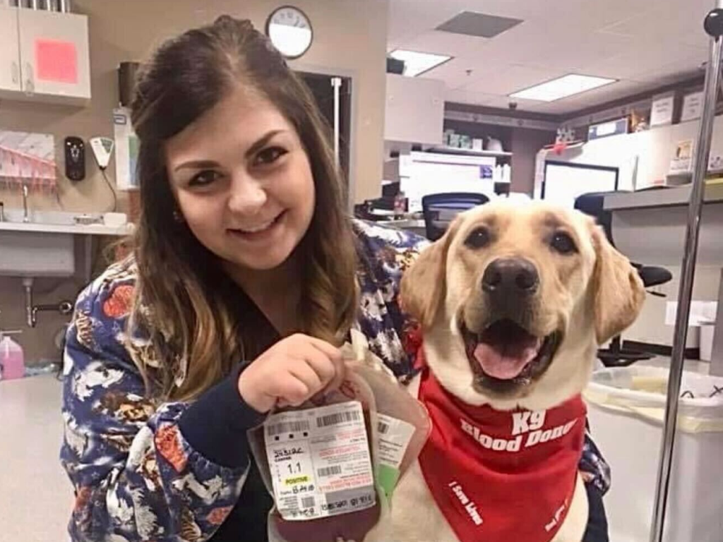 From Clinic Floor to Customer Support