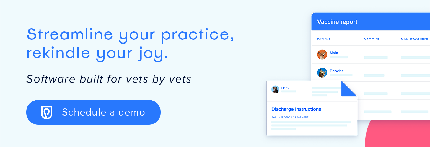 Streamline your vet practice and rekindle you joy