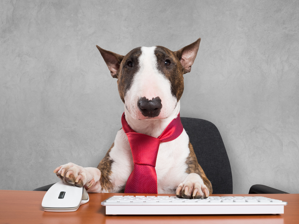 5 Questions to Ask Yourself Before Starting Your Own Veterinary Practice