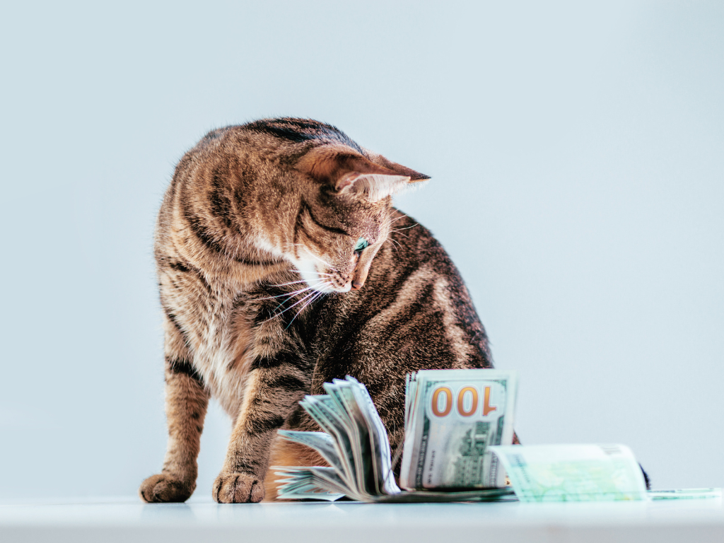 10 Profit-Maximizing Strategies for Your Veterinary Practice