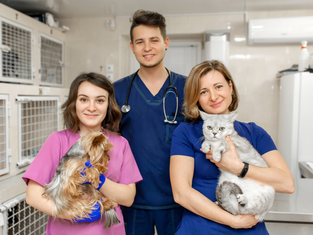 Welcome Change: Preparing Your Veterinary Team for a PIMS Switch