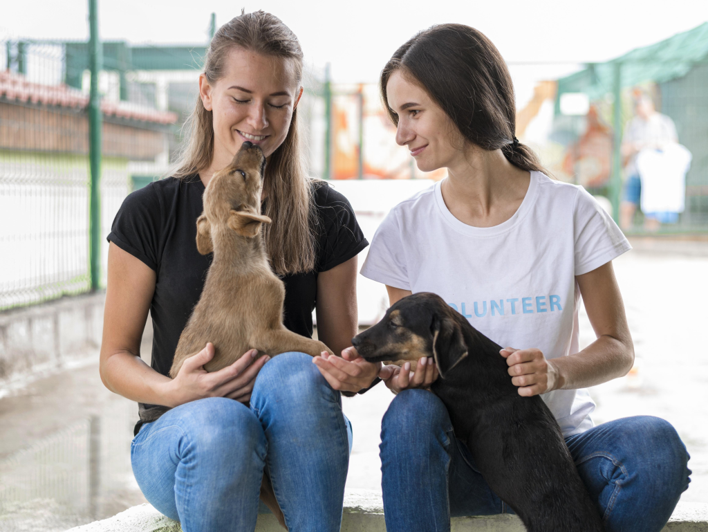 Community Veterinary Outreach: 6 Ways to Make Your Clinic the Place to Be
