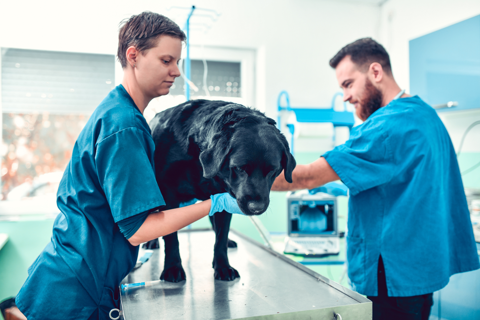 What a ‘Confident Switch’ Looks Like in Real Clinics