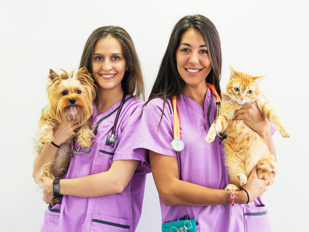 5 Ideas for Employee Recognition at Your Veterinary Practice