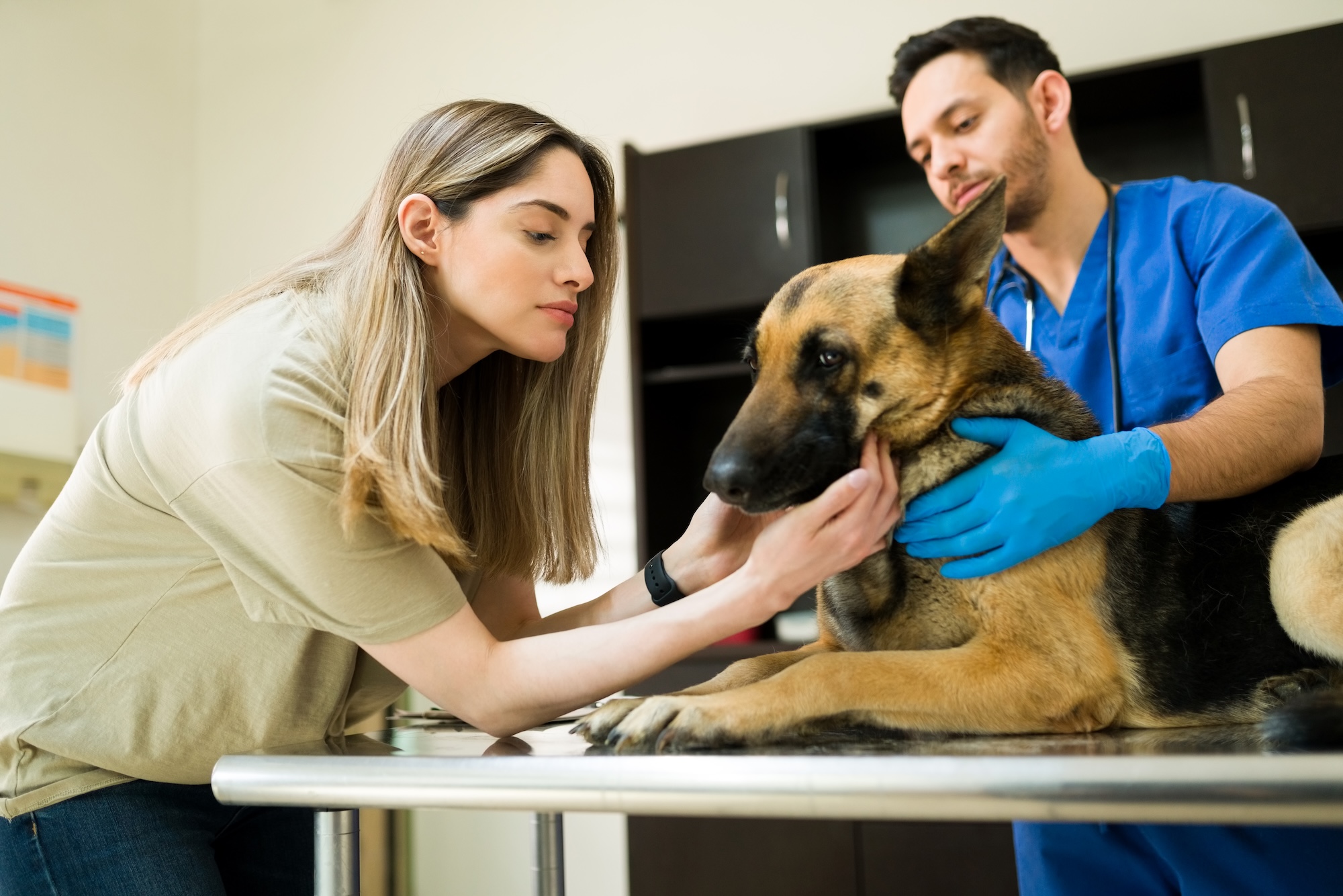 The Hardest Part of Heartworm Treatment Isn’t the Injection