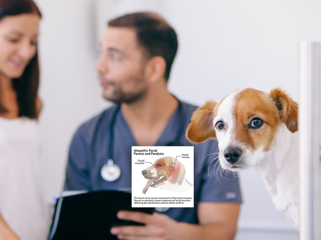 Why Great Medicine Isn't Enough Without Great Communication