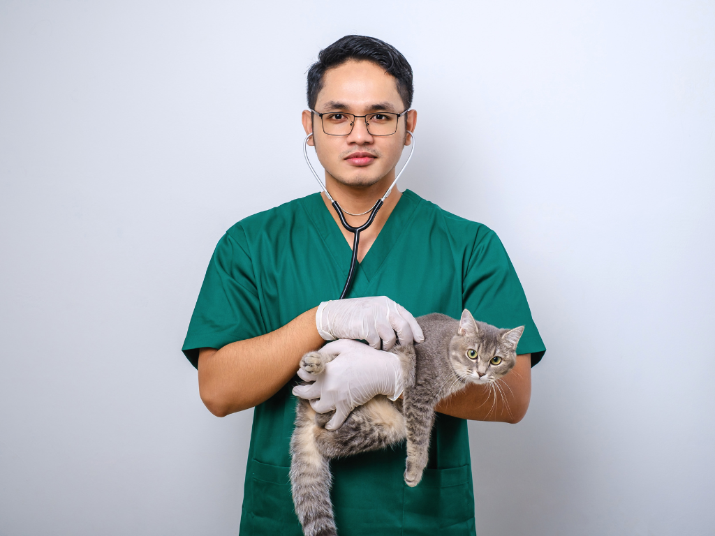 How to Be More Efficient with Fewer Veterinary Practice Staff