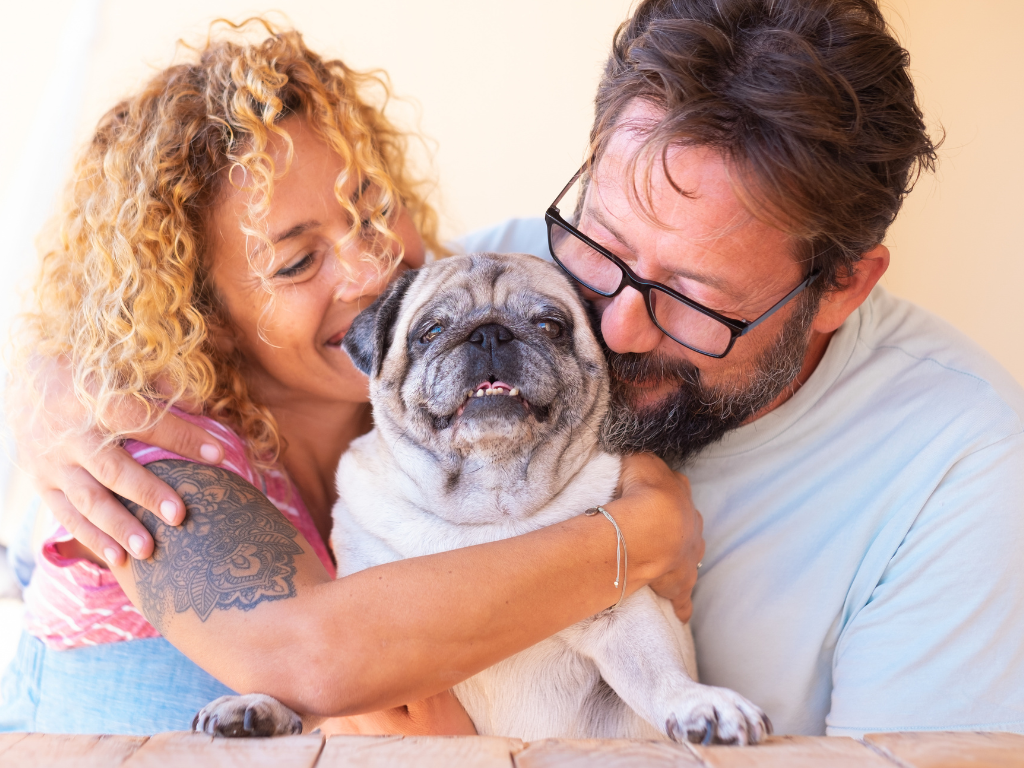 Talking to Pet Owners About Microchipping