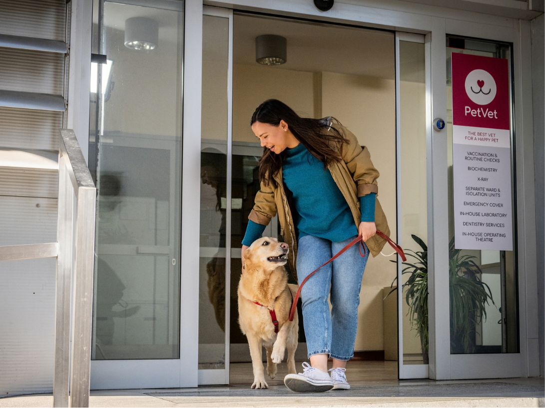 The Feedback You’re Missing: What Happens After the Leash Goes Back On