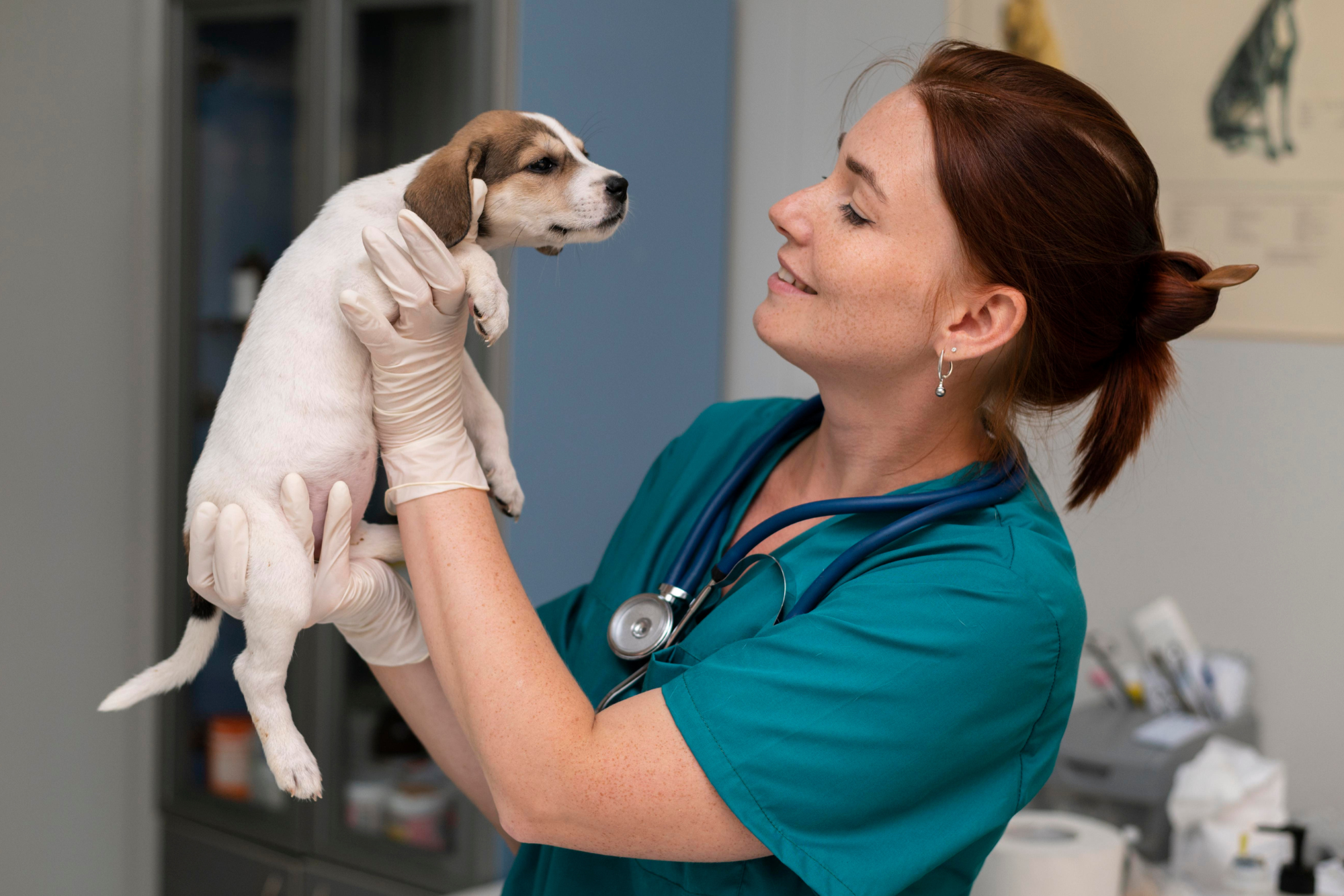 Predictable Veterinary Revenue Without Working Longer Hours: What the Data Actually Shows