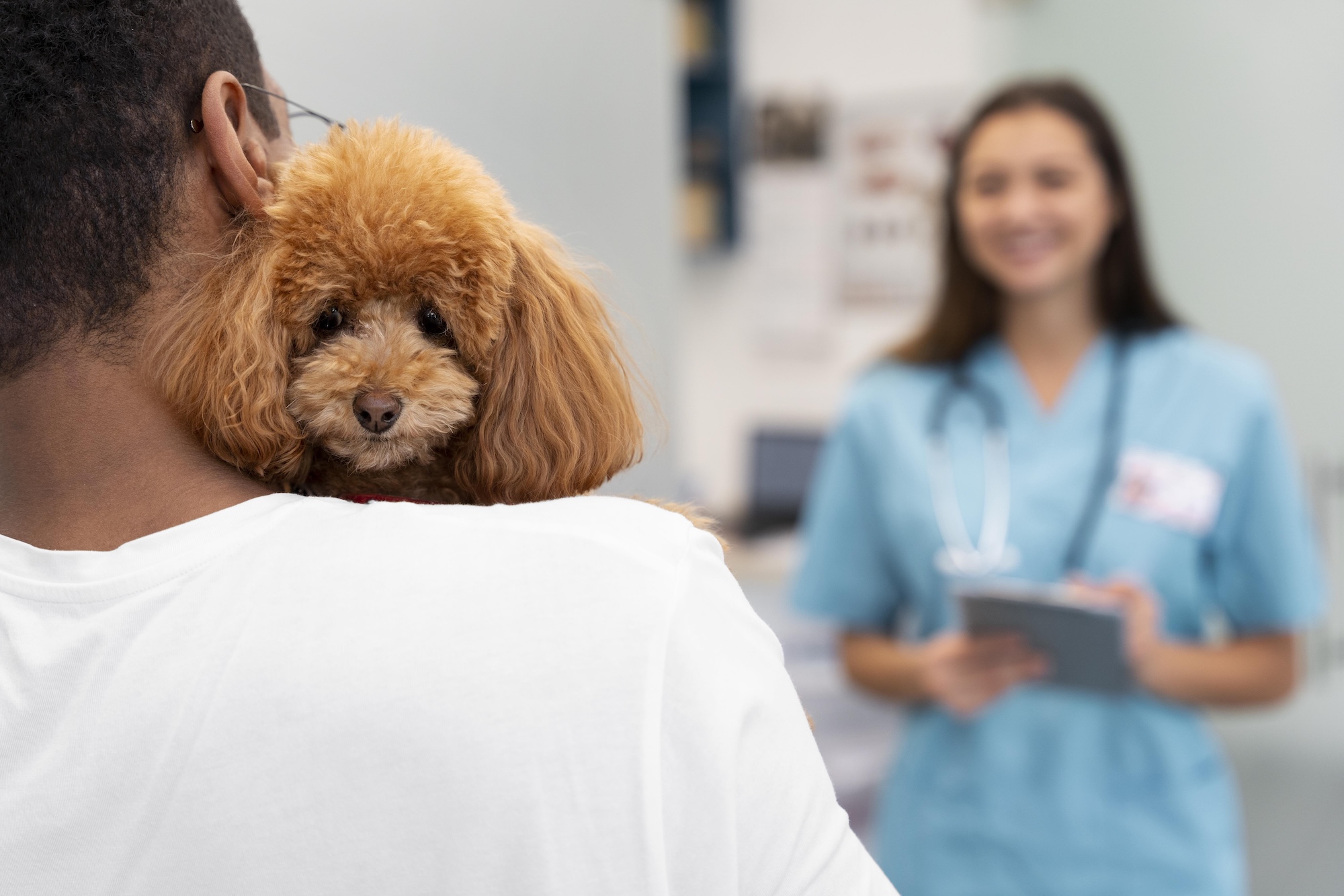 How to Reduce No Shows at Your Veterinary Clinic