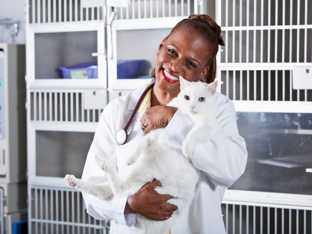 Help is On The Way: How to Hire a Relief Veterinarian