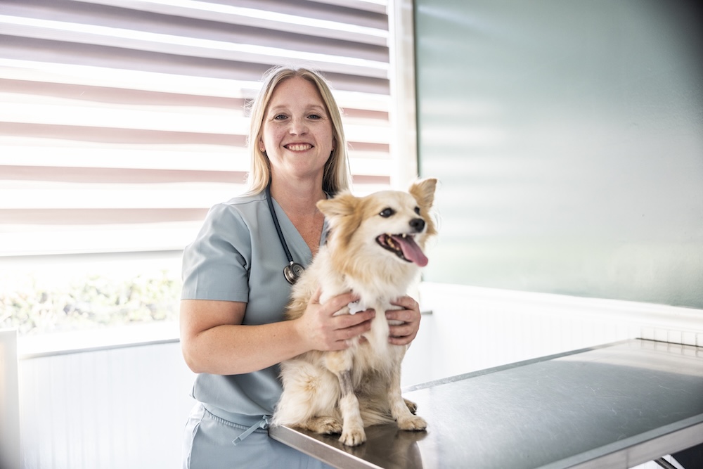I Became a Vet to Practice Medicine. Here’s What Nobody Told Me About the Admin.