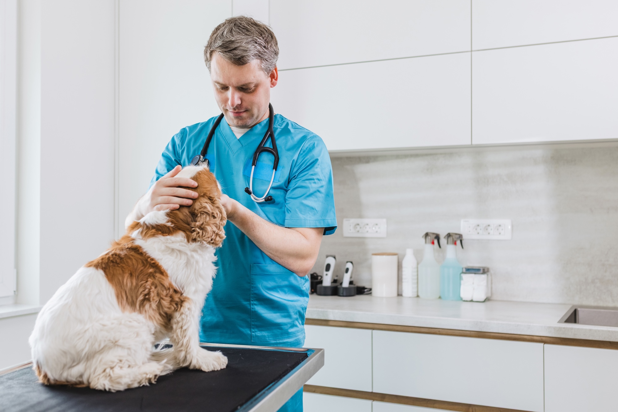 The Quiet System That Actually Makes Preventive Care Work