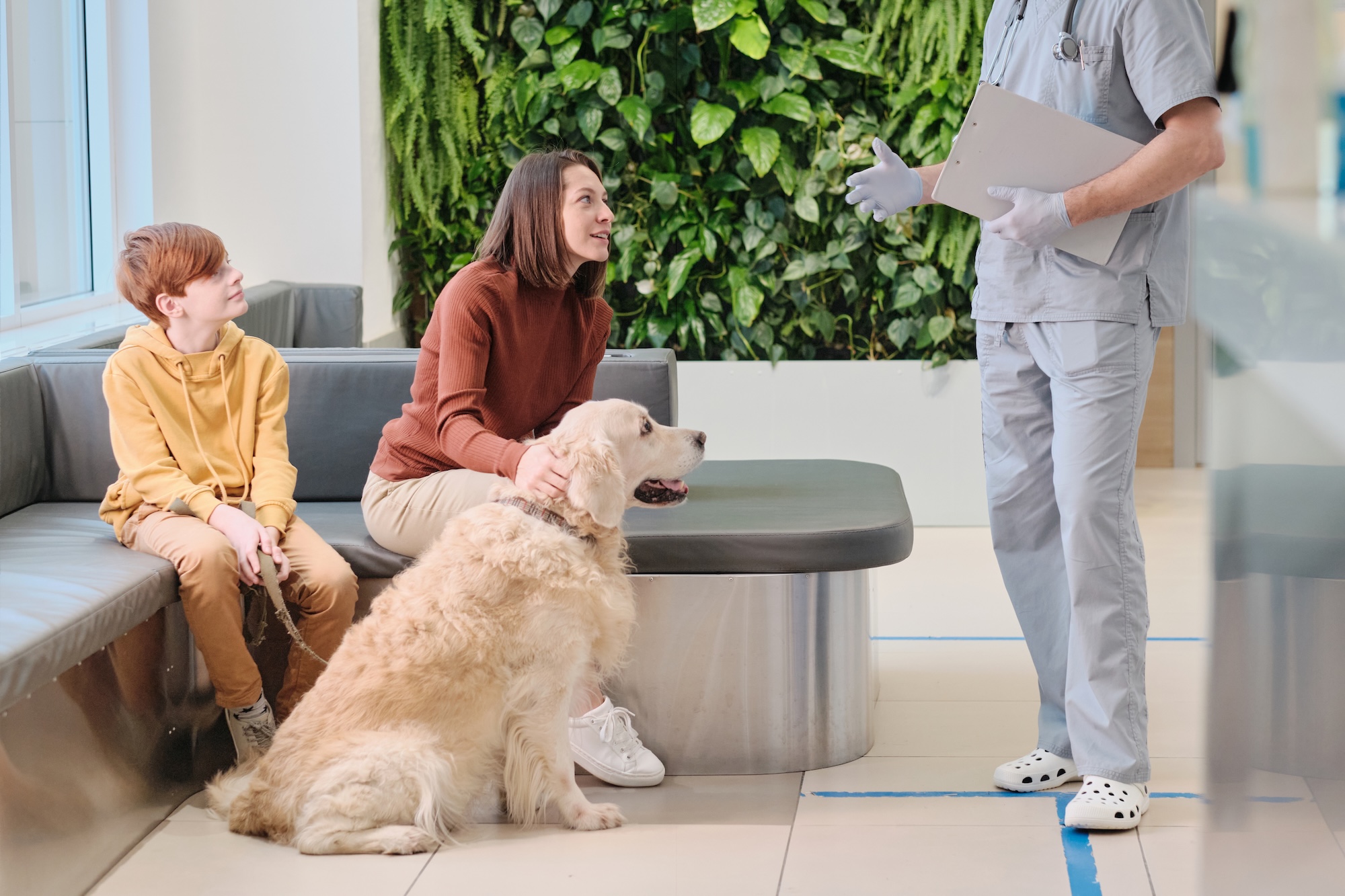 The Difference Between Busy and Productive in a Veterinary Clinic