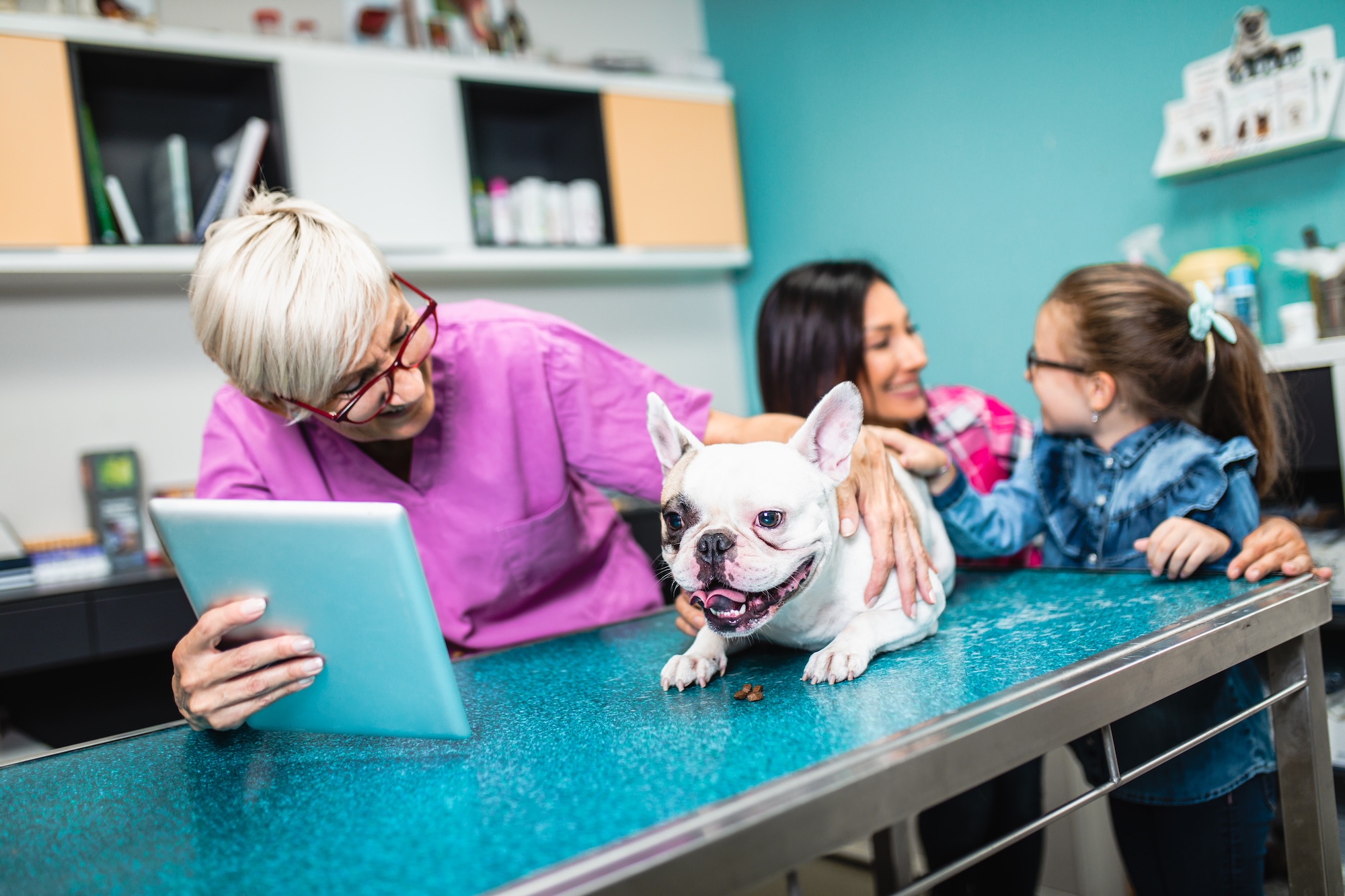 Veterinary Medicine Workflow Coordination
