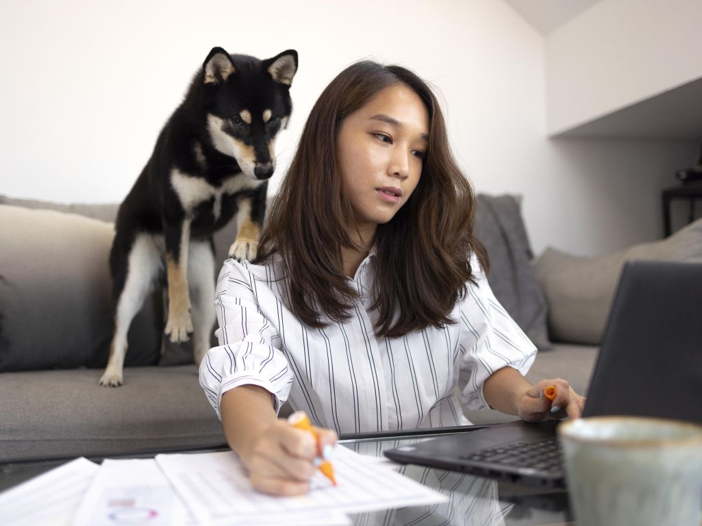 Your Veterinary Practice Year-End Checklist: 10 Ways to Start Strong in 2026