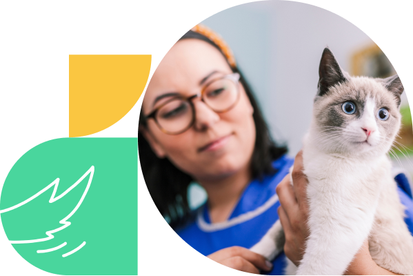 Shepherd veterinary practice management software for enterprise practices