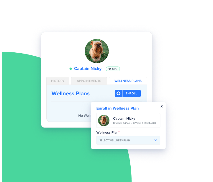 Wellness Plans