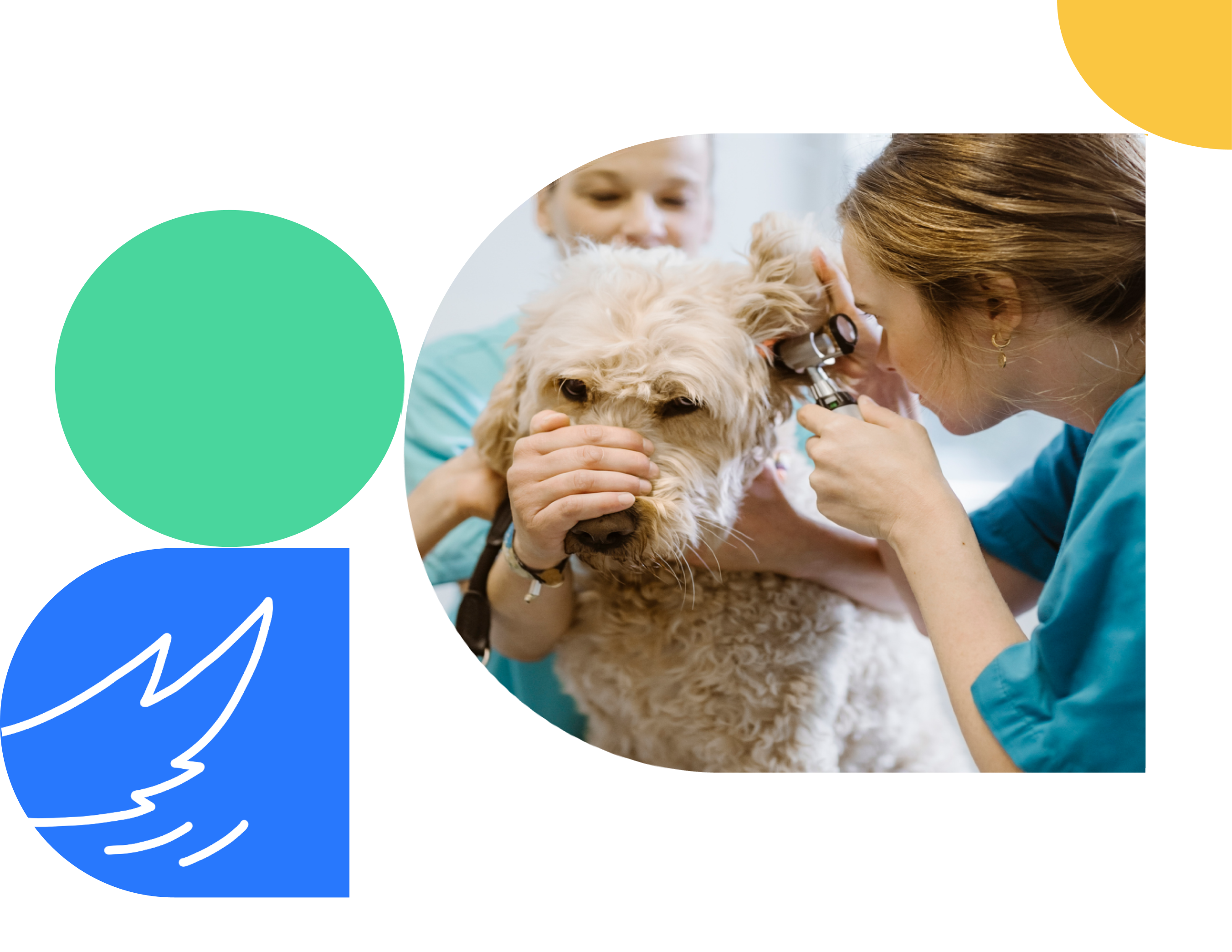 Shepherd veterinary practice management software for UC_ER