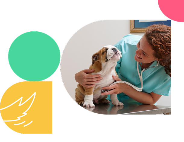Shepherd veterinary practice management software for multi-location practices