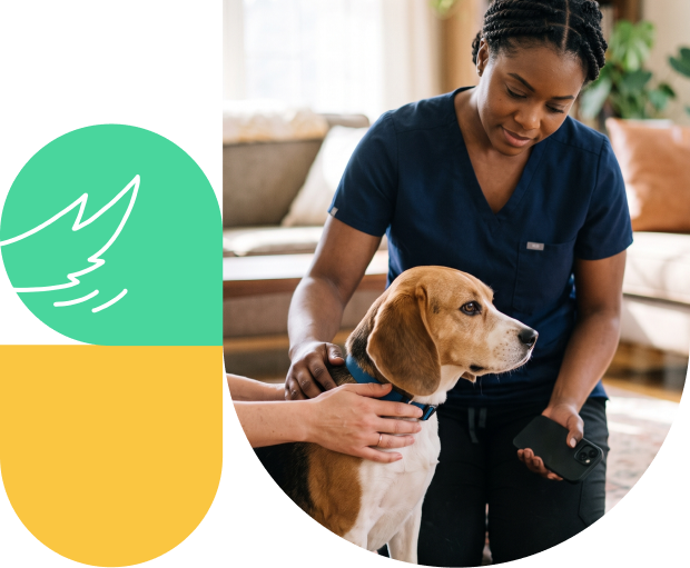 Shepherd veterinary practice management software for mobile and hybrid practices
