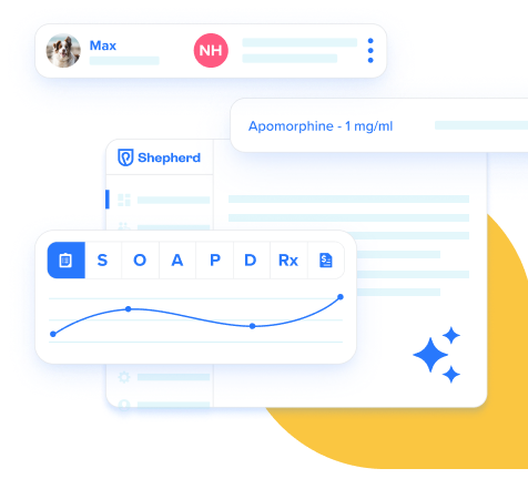 Software soap
