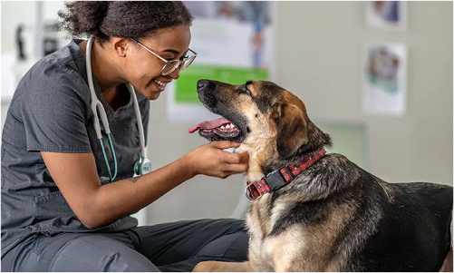 Vet employee smiling