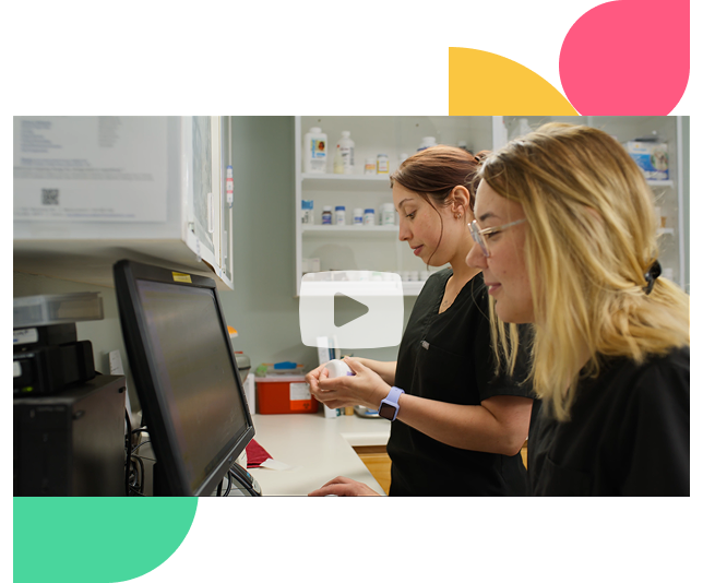 Vet employees on computer