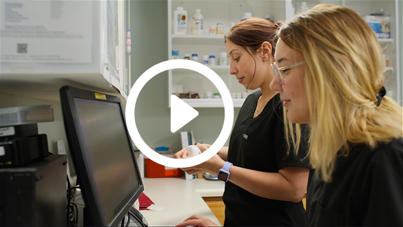 Vet employees on computer